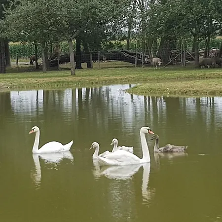 Les Portes Des Froises * سانت كوينتن ان تورمونت